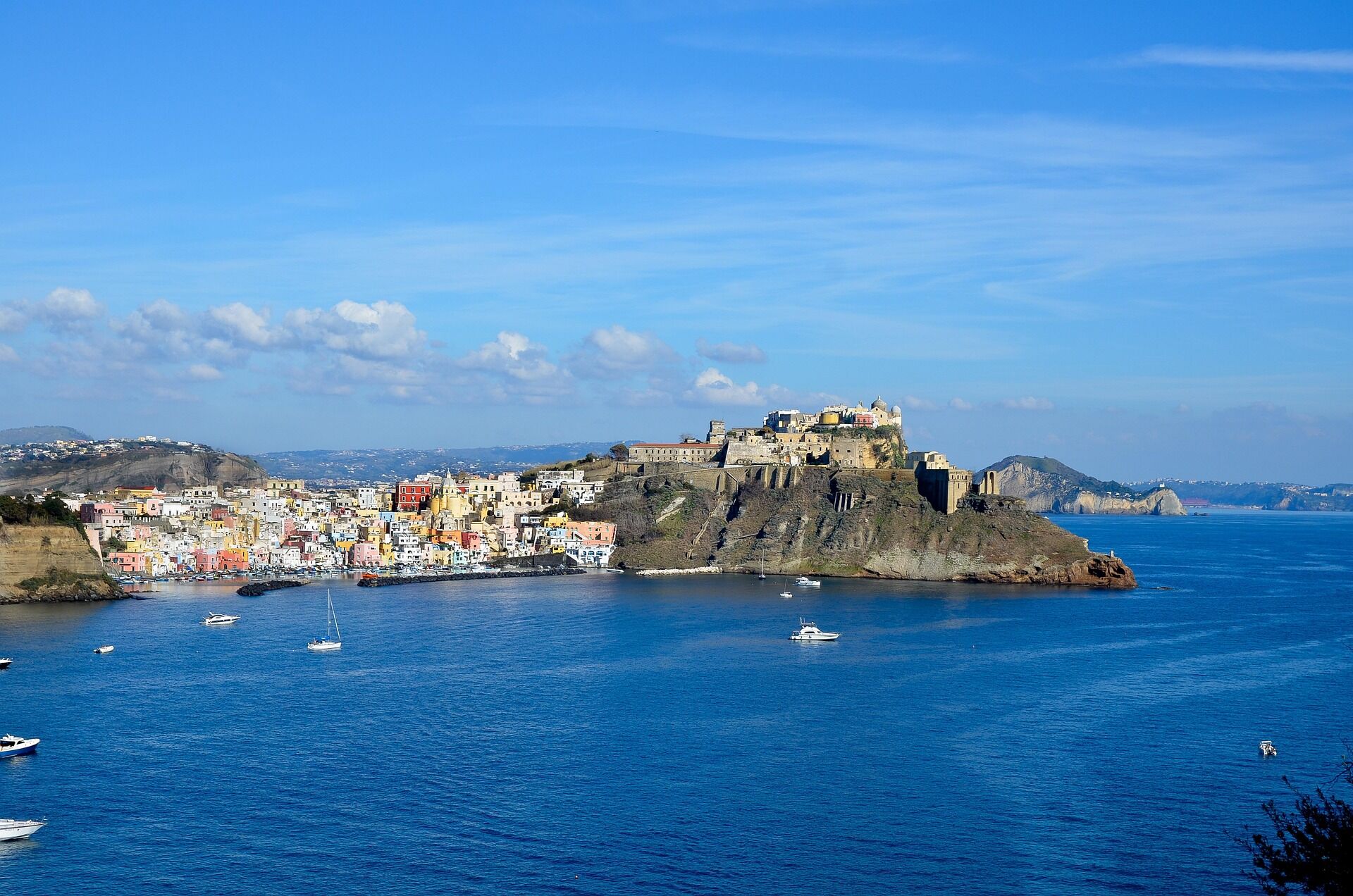 trixieliko-procida-3916980_1920