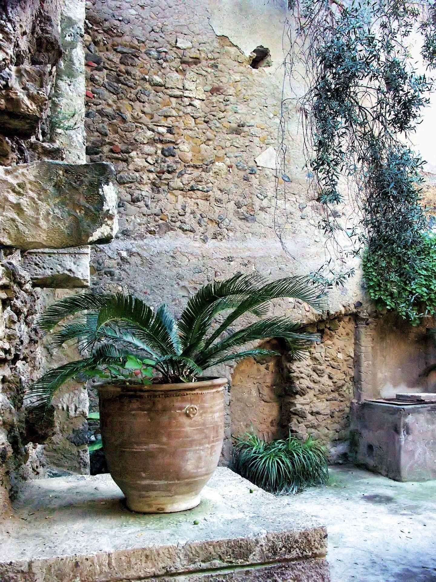 schaerfsystem-italy-748408_1920