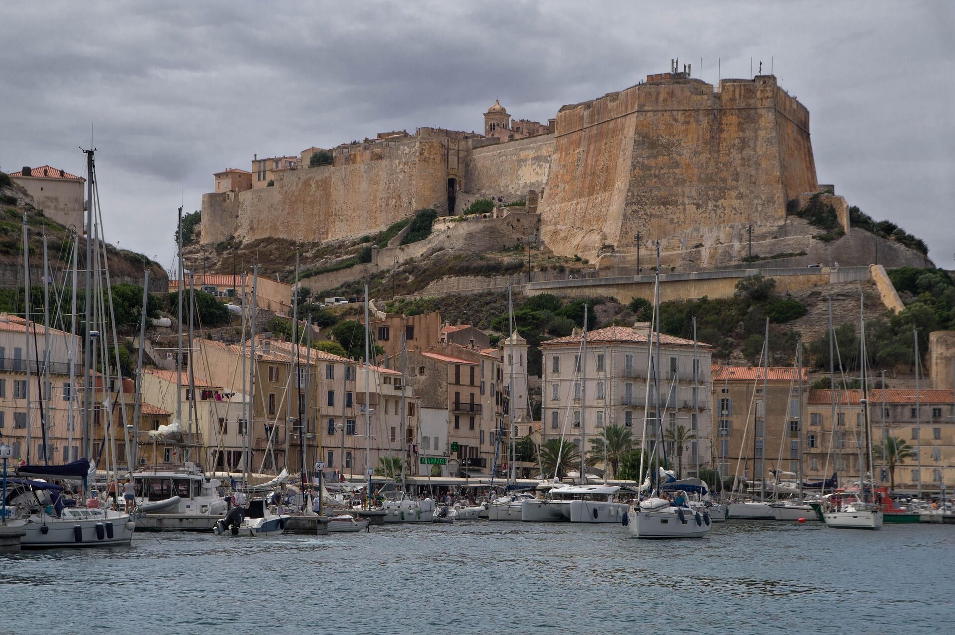 corsican-3717293_1920 corsican-3717293_1920
